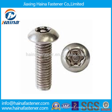 Stainless Steel Torx Pan Head Tamper Proof Security Screw